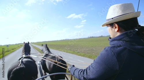 Female coachman steering two Friesian horses on the road 4K. Over shoulder view of coachmen in focus steering two Friesian black horses on the road. photo
