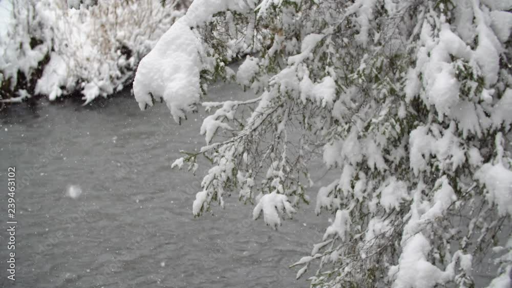 River Coast Covered with Snow Snow Over River in Winter Forest. Winter Landscape. Russia, Siberia.