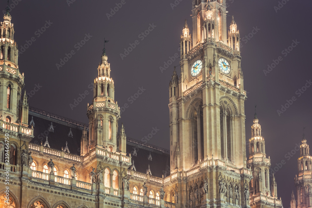 Fototapeta premium Town hall (Rathaus) of Vienna illuminated at night on the dark sky background, Austria