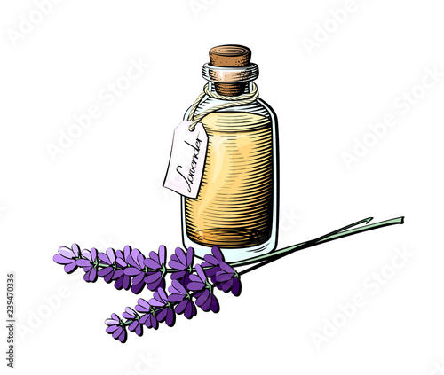 Lavender oil bottle illustration. Colored essential oil glass bottle.