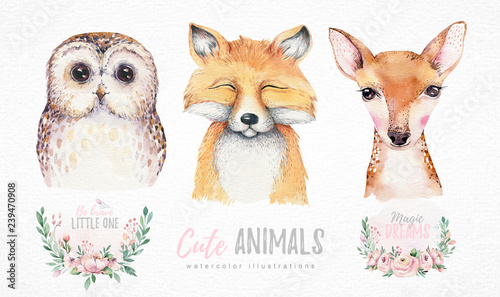 Photography Watercolor set of forest cartoon isolated cute baby fox, deer and owl animal with flowers