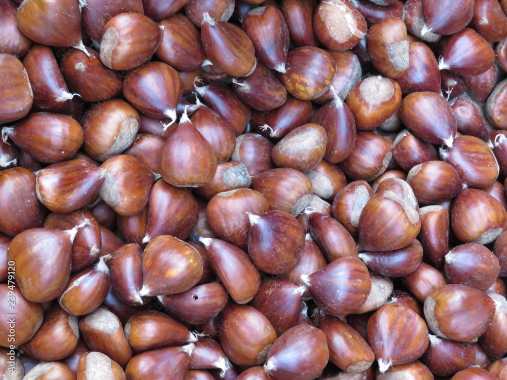 Delicious chestnuts very appealing with a magnificent color Delicious chestnuts very appealing with a magnificent color
