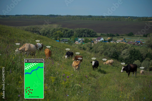 With the help of a smartphone and a sensor on the cow determine the location of the cow. Smart farming.