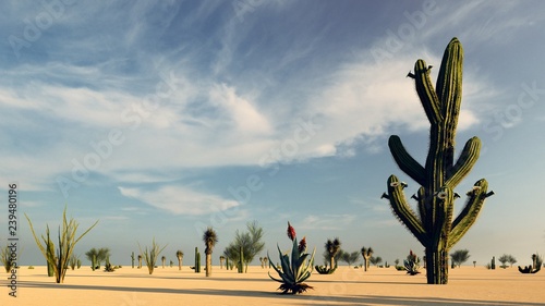 Sunset in the Desert with Cacti 3d rendering photo