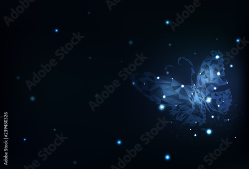 Butterfly polygon technology abstract background blue futuristic concept vector illustration