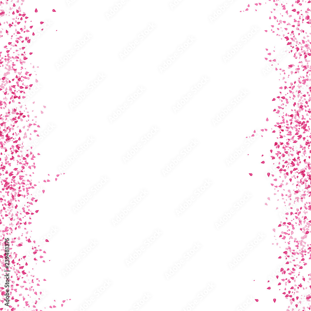 Sakura scatter pink leaves falling concept on white abstract background textured nature Sakura scatter pink leaves falling concept on white abstract background textured nature