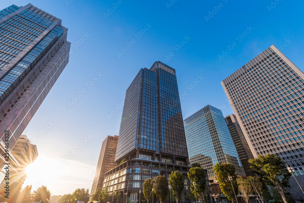 Fototapeta premium 東京丸の内 オフィスビル街の夕景