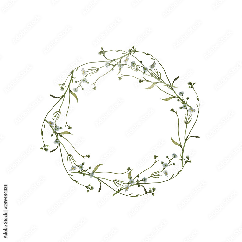 Wreath of field's plants isolated on white. Circle of meadow flowers.