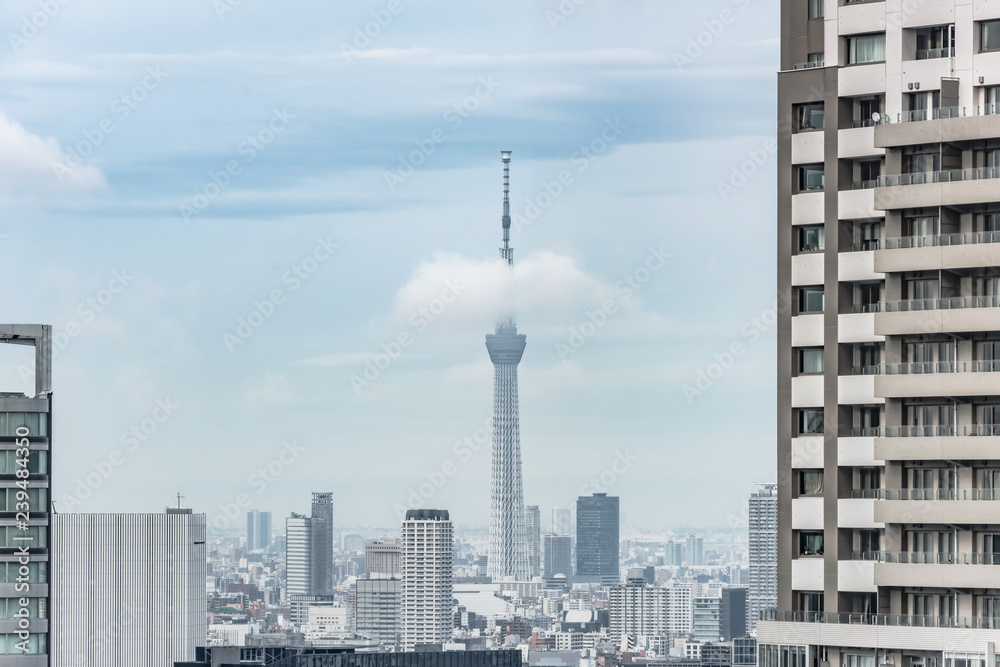 Japan cityscape with the Skytree