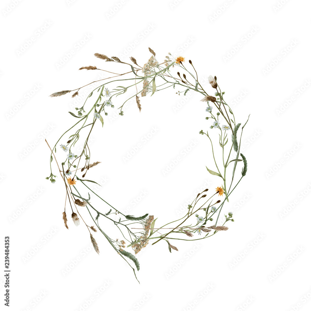 Wreath of field's plants isolated on white. Circle of meadow flowers. Card.