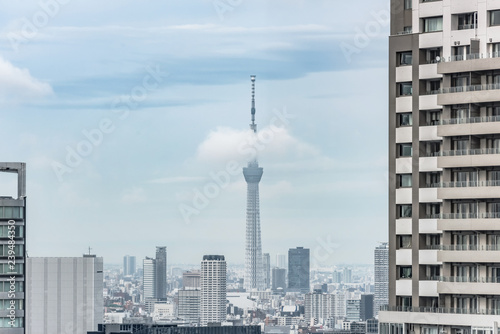 Japan cityscape with the Skytree