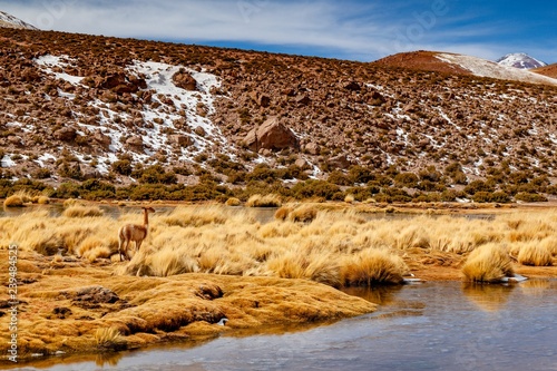 Lanscape of the desert of Atacama, Chile - South America