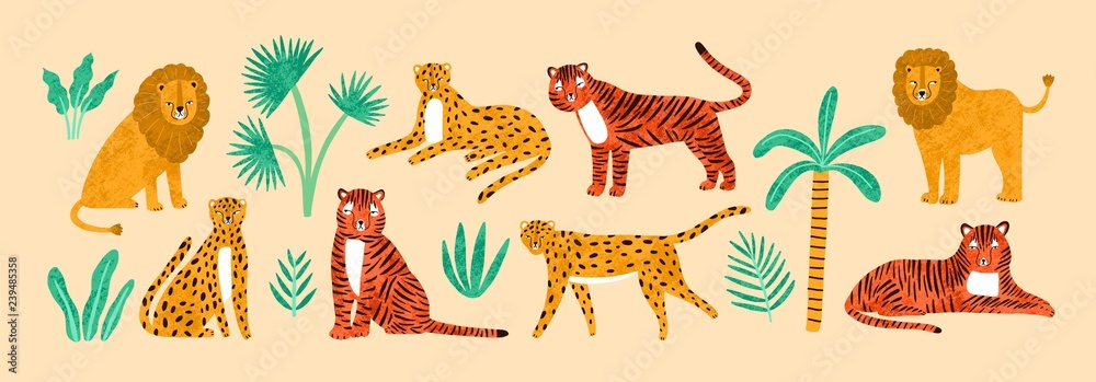 Obraz premium Collection of amusing lions, tigers, leopards, exotic leaves, tropical plants and palm tree isolated on light background. Bundle of wild African feline animals. Flat cartoon vector illustration.