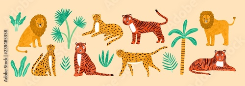 Collection of amusing lions  tigers  leopards  exotic leaves  tropical plants and palm tree isolated on light background. Bundle of wild African feline animals. Flat cartoon vector illustration.