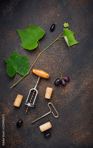 Grape and vintage corkscrew