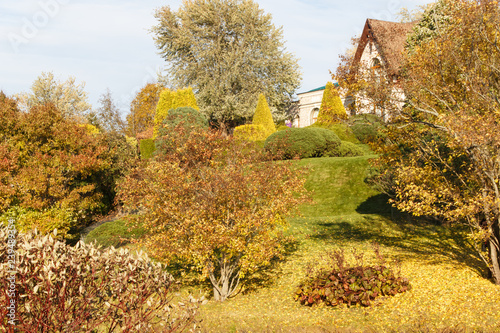 Park with green lawn, trees and trimmed bushes.