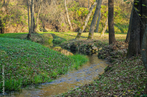 A small stream with clear water flows through the clean autumn park.