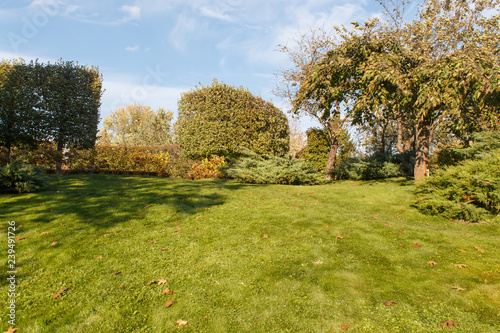 Cottage garden with green lawn, trees and trimmed bushes.