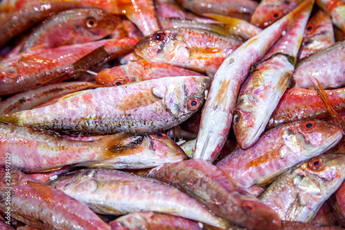 fish, food, market, fresh, seafood, sea, fishing, raw, healthy, animal, red, mackerel, freshness, cooking, ice, nutrition, catch, closeup, ocean, mullet, silver, delicious, meal, ingredient, fish mark