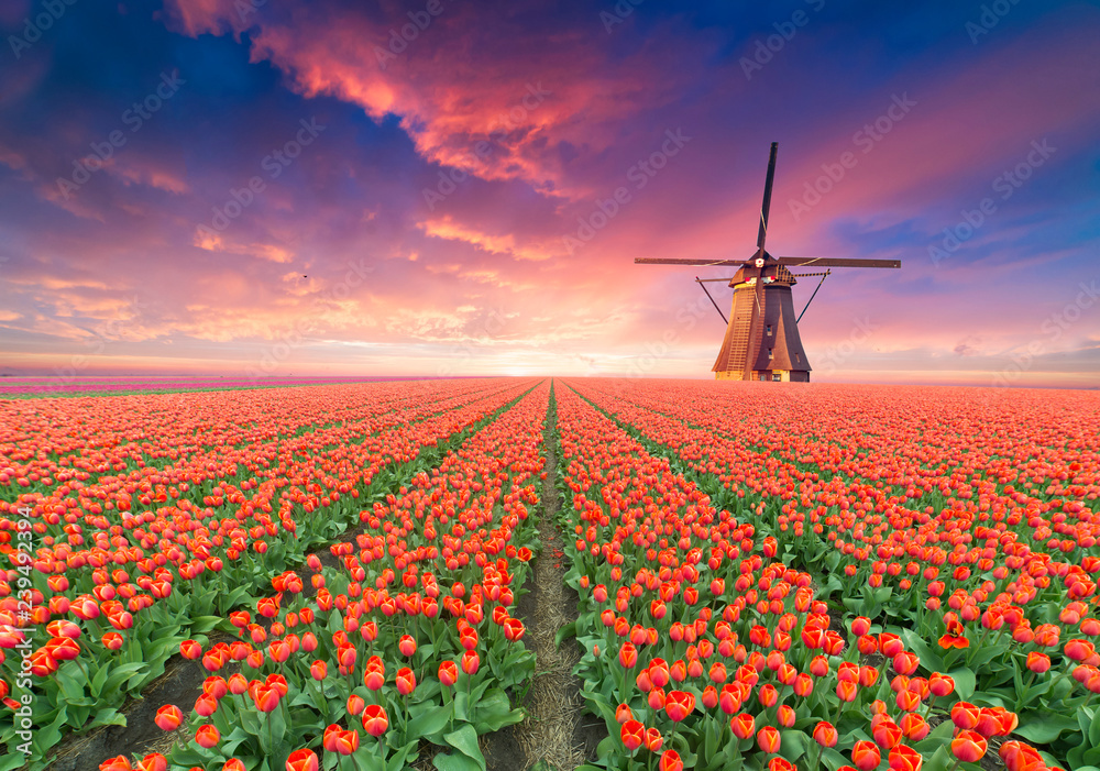 The road leading to the Dutch windmills from the canal in Rotterdam. Holland. Netherlands