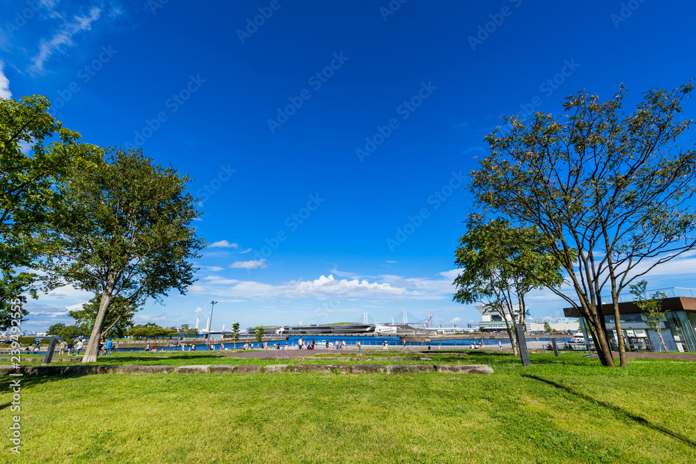 横浜 象の鼻パーク 開港の丘の風景