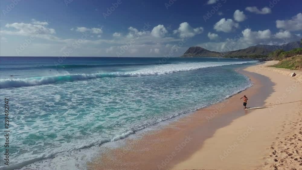 Aerial view of the tropical beach with surfer coming into the water. West Coast of Oahu, Hawaii