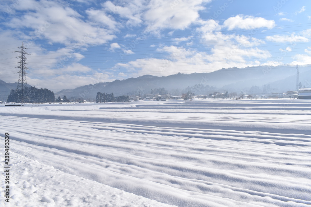 晴れた日の雪原