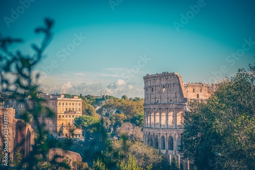 Fototapeta Naklejka Na Ścianę i Meble -  Coliseu