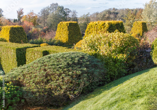 Cottage garden with green lawn, trees and trimmed bushes.