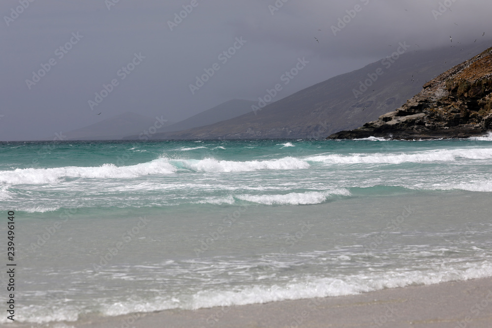 Landscape in The Neck on Saunders Island on Falkland Islands