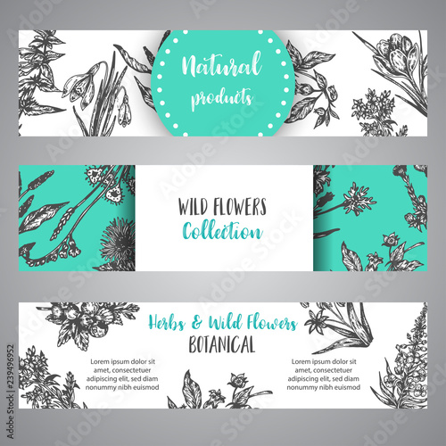 Hand drawn herbs and wild flowers banner Vintage collection of Plants Vector illustrations in sketch style photo