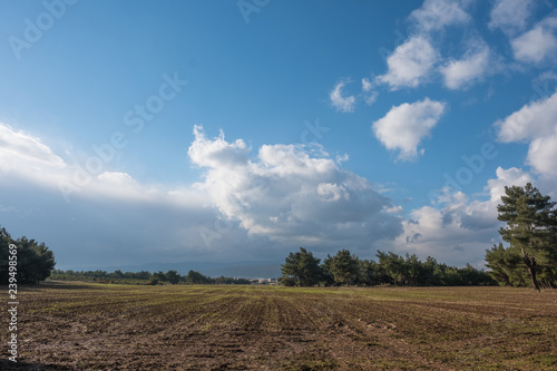 Plowed Field Surrounded by Trees Under Rainy Sky