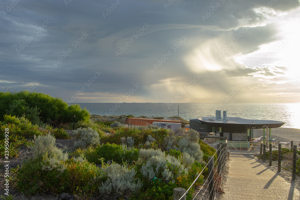 Landscape of a Beach in Perth at sunset full of vegetation