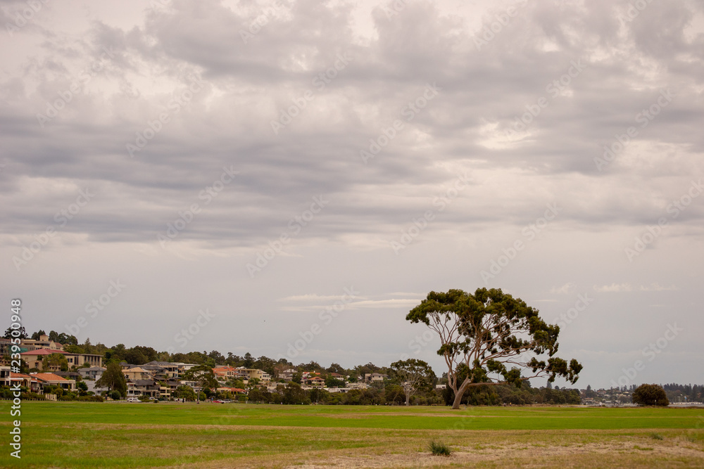 Landscape of a park in perth  in a cloudy day