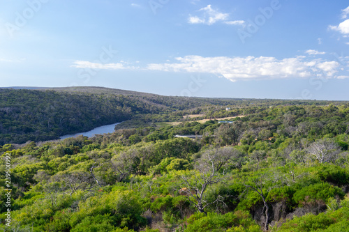 Margaret river landscape at sunny day full of vegetation at nature