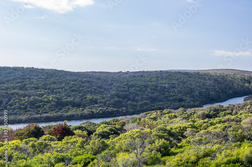 Margaret river landscape at sunny day full of vegetation at nature