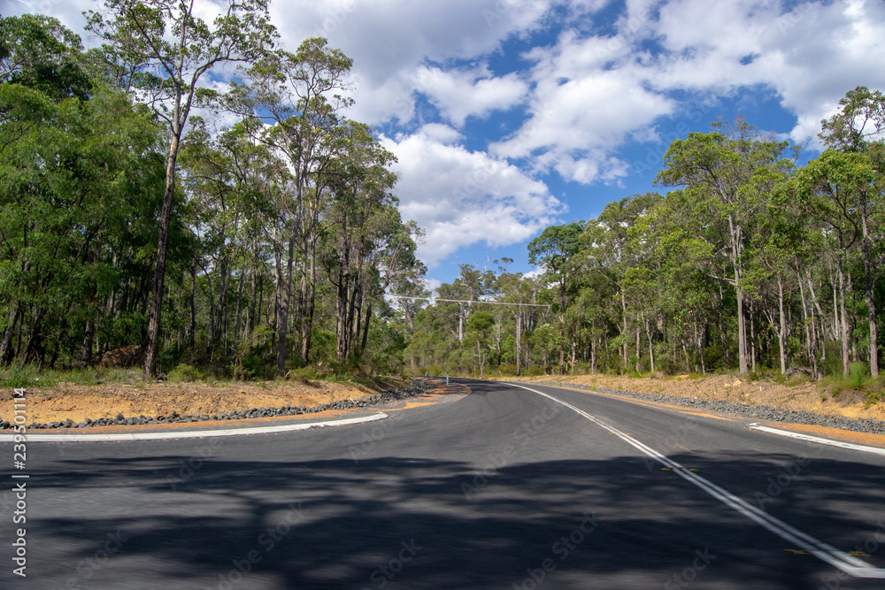 Road trip landscape full of trees