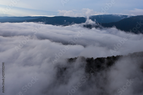Flying above the clouds on a paraglider, free flight. © Mikhail Semenov