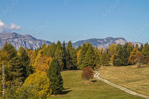 Herbststimmung im Trentino photo