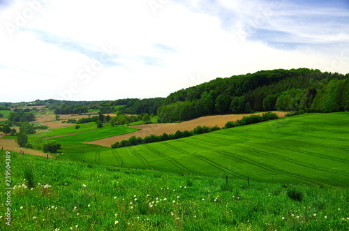 Frühlingswiesen