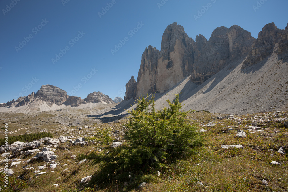 Tre Cime di Lavaredo and its environment in a summer day