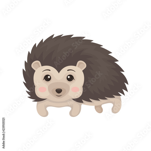Lovely hedgehog animal cartoon character vector Illustration on a white background