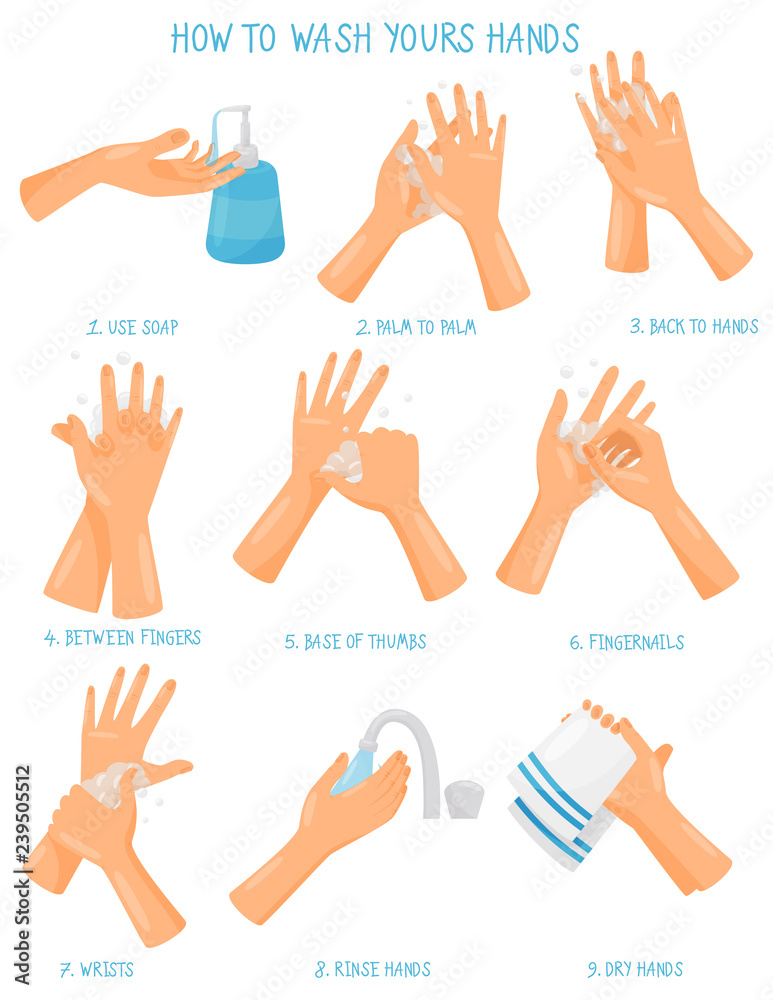Vecteur Stock Washing hands step by step sequence instruction, hygiene,  health care and sanitation, prevention of infectious diseases vector  Illustration | Adobe Stock