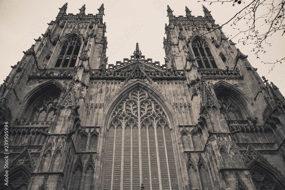 cathedral of york