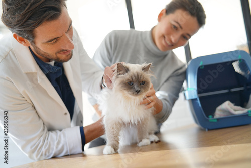 Handsome vet looking at beautiful cat in clinic with owner photo