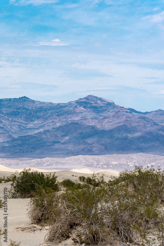 Barren desert sandy landscape of Death Valley National Park in California with sagebrush, rocks and the mesquite sand dunes