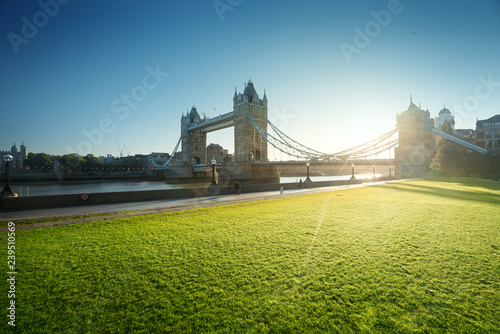 grass and tower bridge in sunny morning London, UK