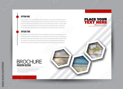 Flyer, brochure, billboard template design landscape orientation for business, education, school, presentation, website. Red color. Editable vector illustration.