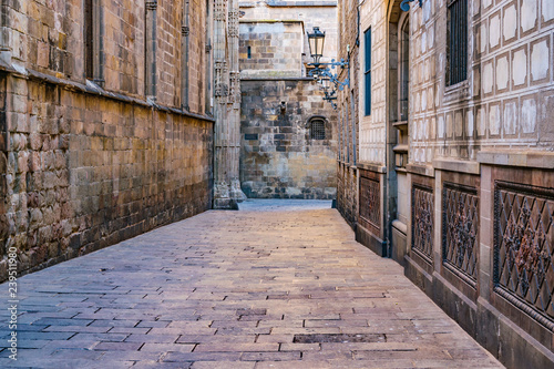 Narrow Street  Gothic District  Barcelona  Spain