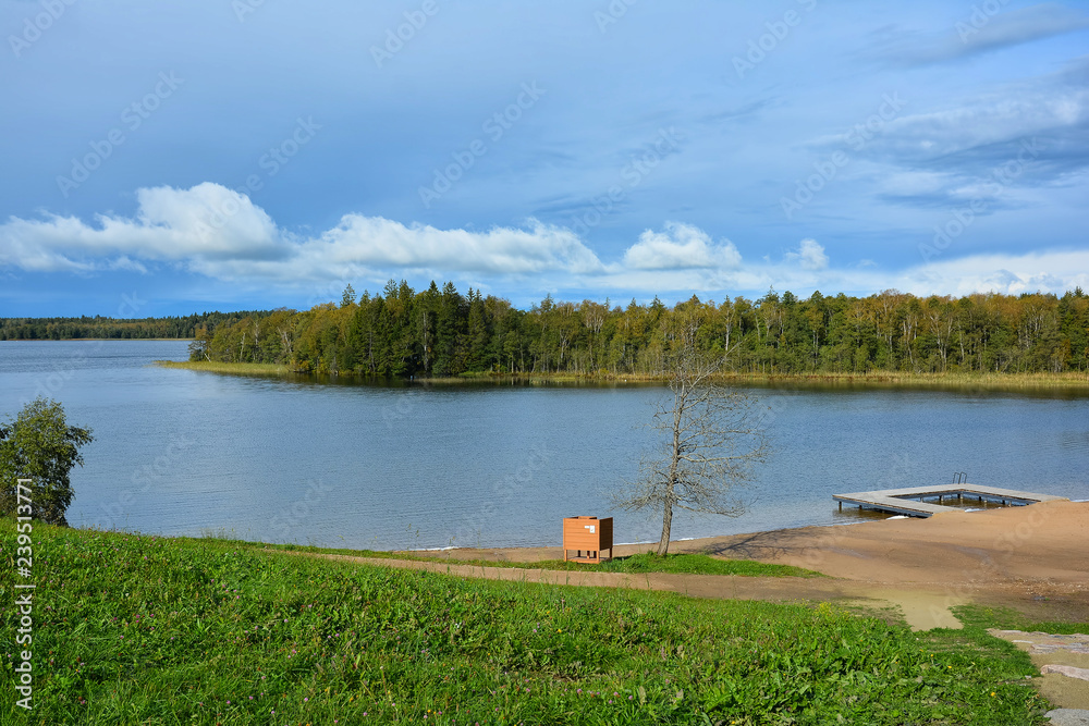 Obraz premium Blue sky, lake and forest. Beach on the lake Germantas, Lithuania. Autumn landscape on a sunny clear day.